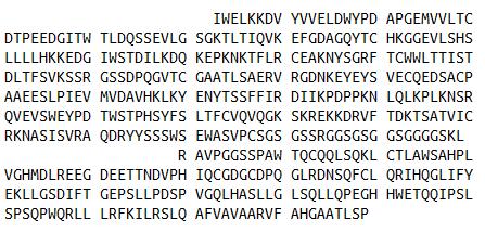 白介素23(IL23)真核蛋白