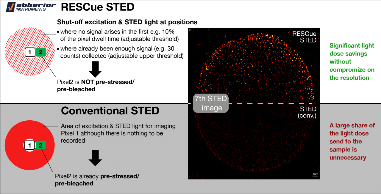 Infinity Line-STED超高分辨率显微镜