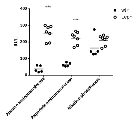 产品细节图片19