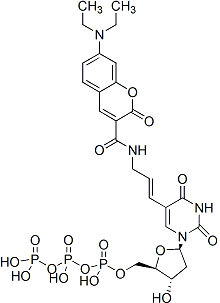DEAC-dUTP, 冻干粉 40059