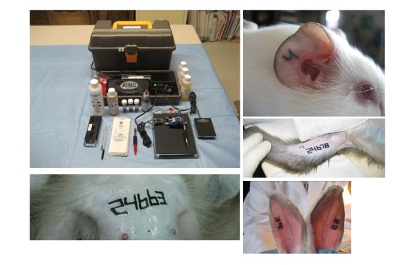 产品细节图片17