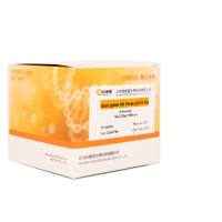 StarLighter 高灵敏探针法 qPCR 预混液（通用型）