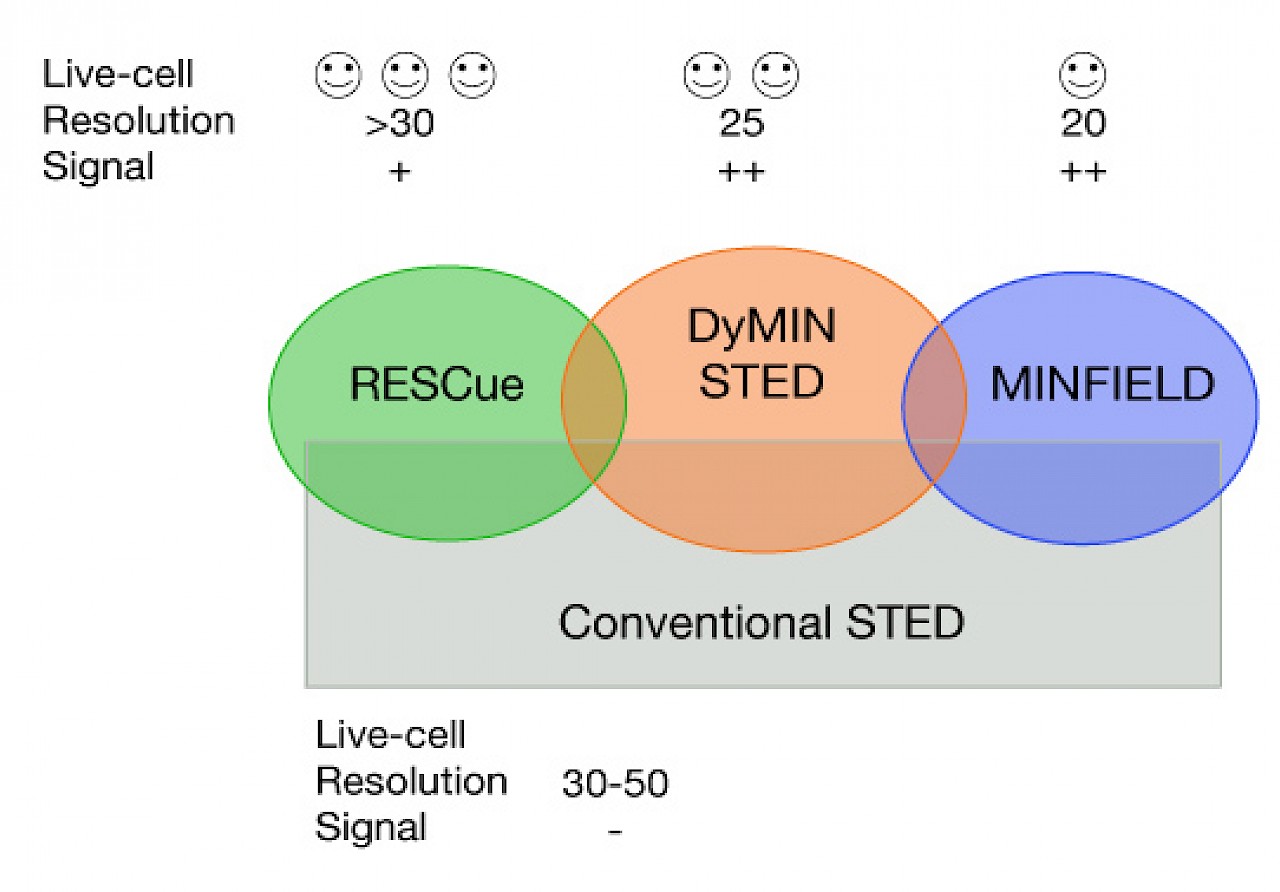 Infinity Line-STED超高分辨率显微镜