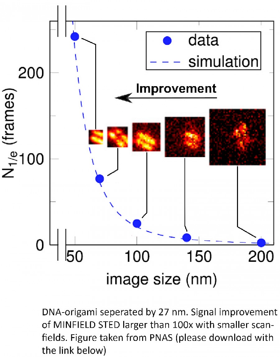 Infinity Line-STED超高分辨率显微镜