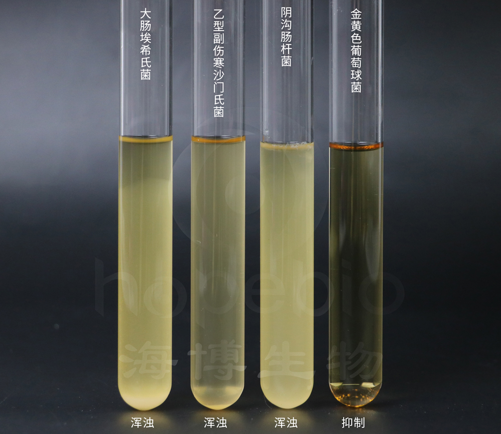 胆盐乳糖培养基