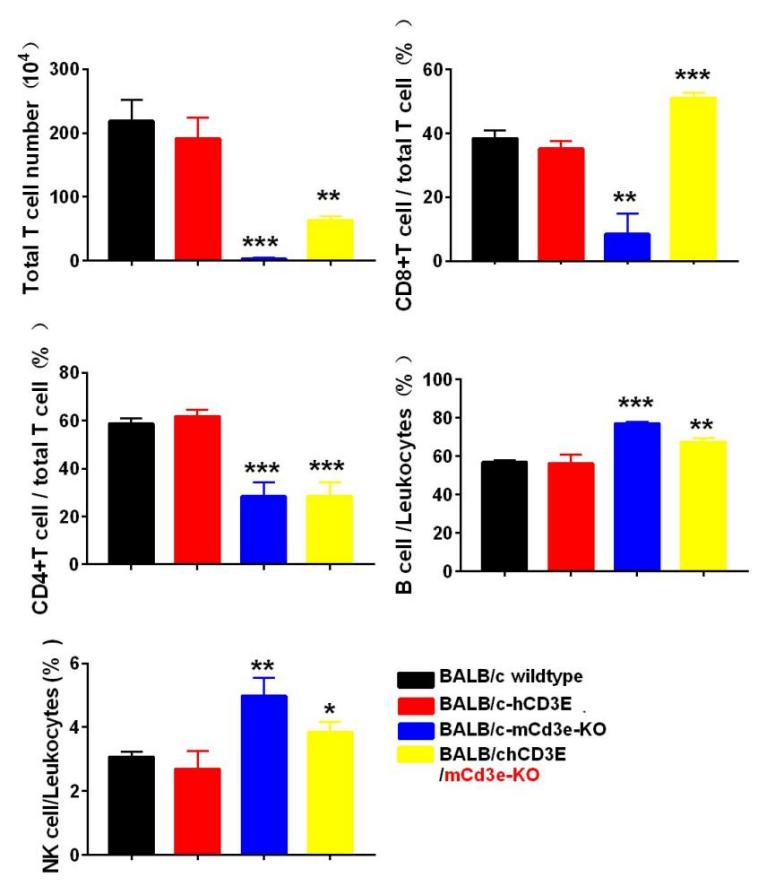 BALB/c-Tg(hCD3E） 人源化小鼠 转基因模型