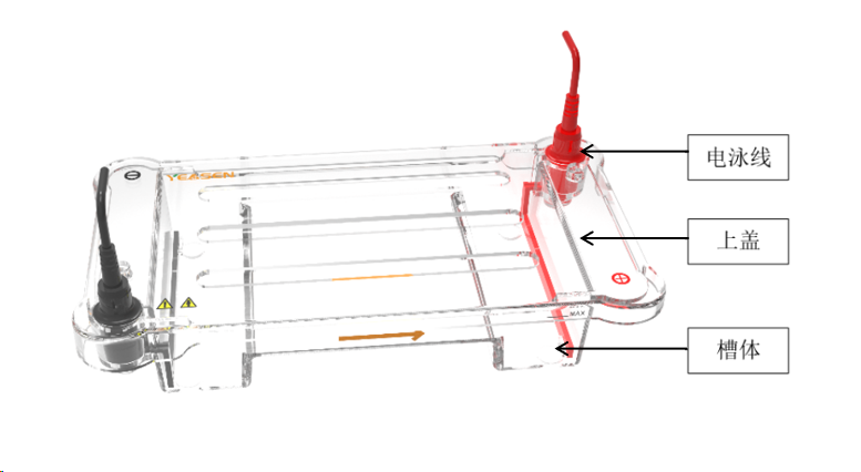 MiniPro HET 高通量水平电泳槽