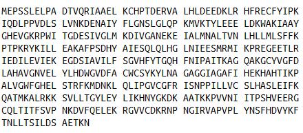 犬尿氨酸酶(KYNU)真核蛋白