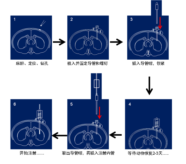 产品细节图片48