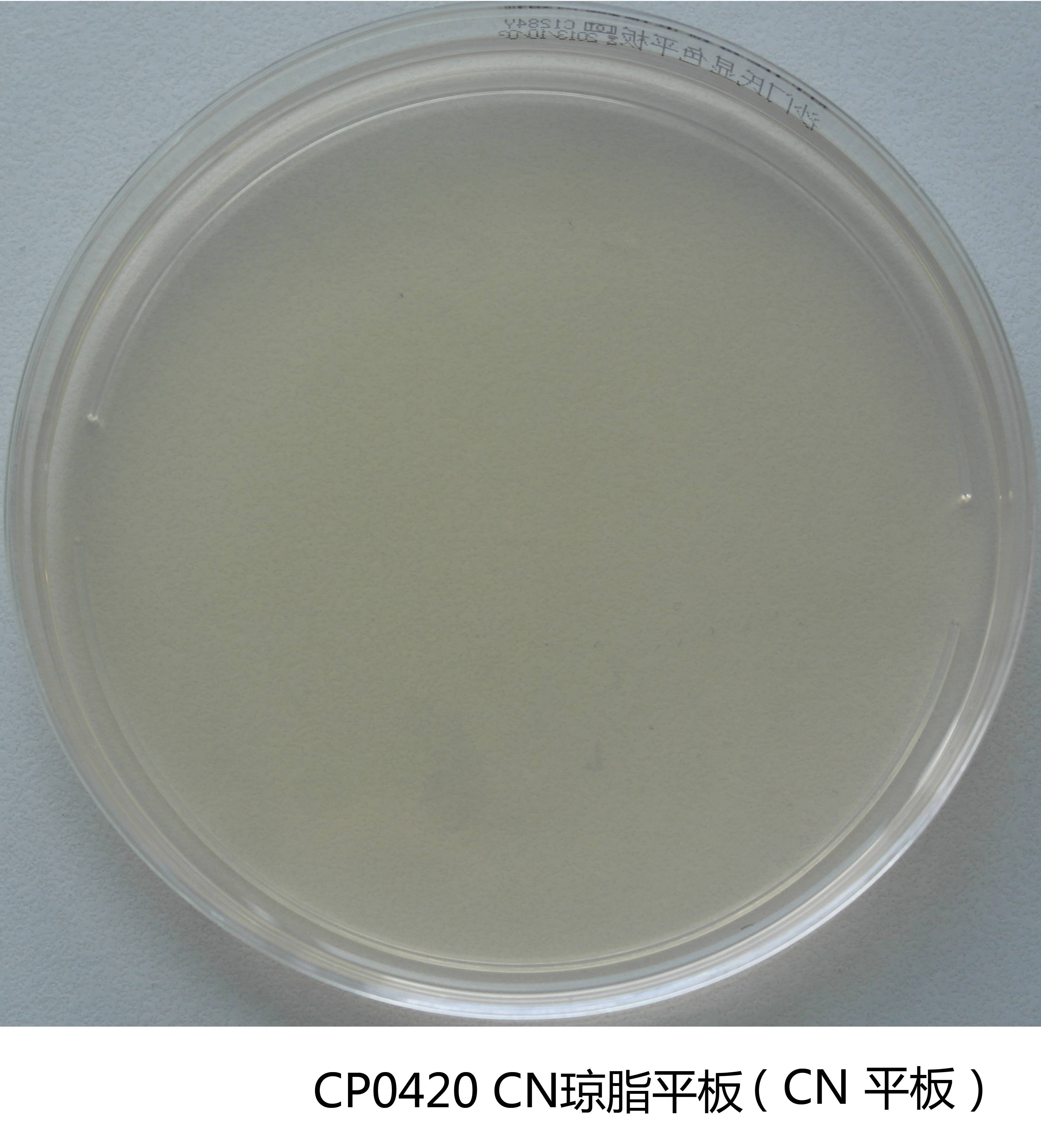 CN琼脂平板培养基 CN琼脂平板培养基