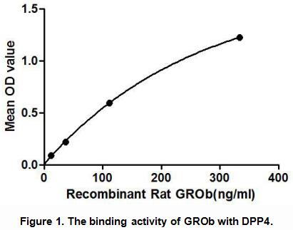 趋化因子配体2(CXCL2)活性蛋白