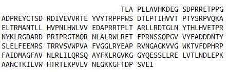β-1,3-葡糖醛酸基移酶1(b3GAT1)真核蛋白