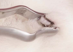 产品细节图片21