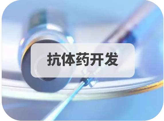 抗体药开发.png