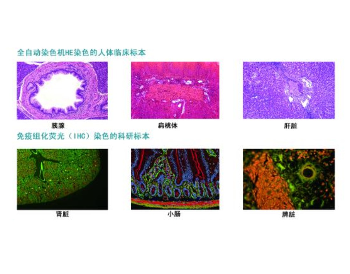 HYB华阳生化实验仪器设备、生化试剂、生化耗材
