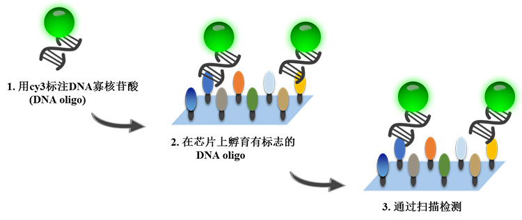 https://img1.dxycdn.com/p/s14/2024/0426/469/8007660391971273871.jpg