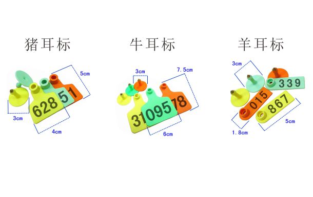 产品细节图片13