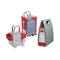 Hoefer鹄飞 Western Blot组合