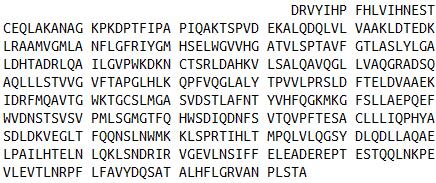 血管紧张素原(AGT)真核蛋白