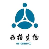 小鼠小肠成纤维细胞