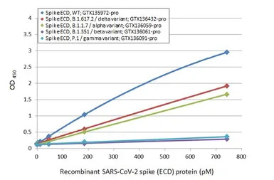 SARS-CoV-2 (COVID-19) Spike RB