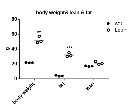 产品细节图片26