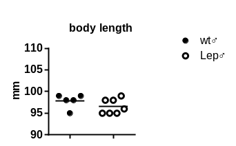 产品细节图片34