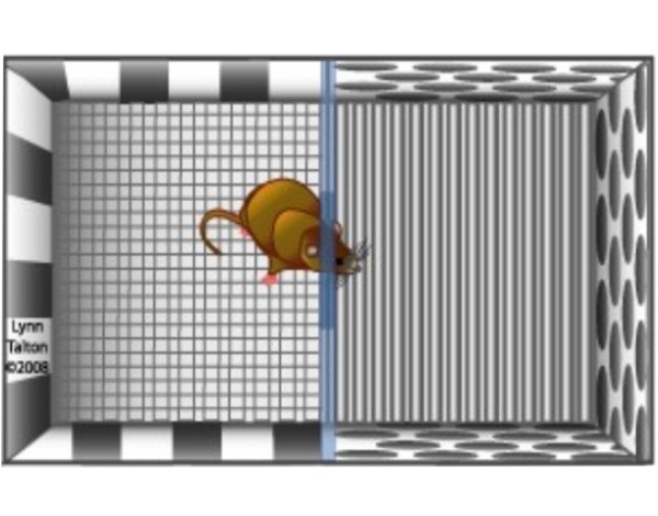产品细节图片17