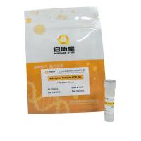 StarLighter 多重 PCR 预混液