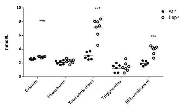 产品细节图片16