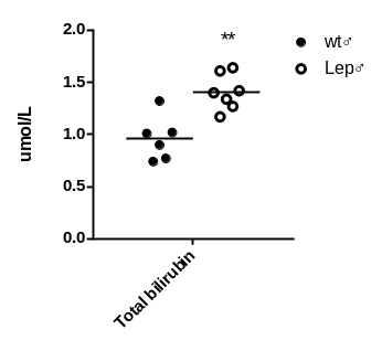 产品细节图片12