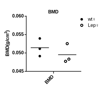 产品细节图片27
