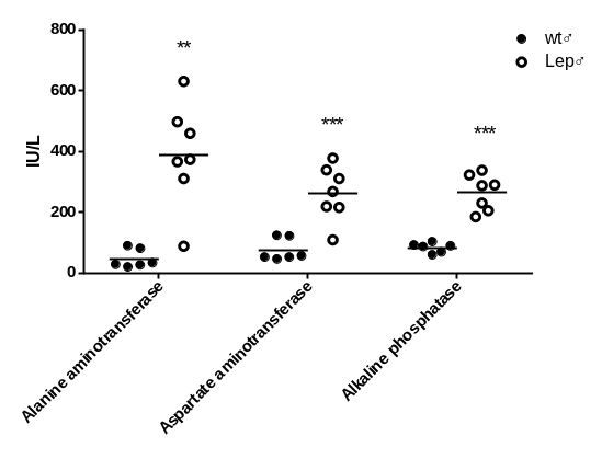 产品细节图片18