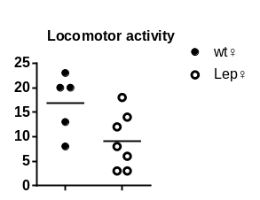 产品细节图片35