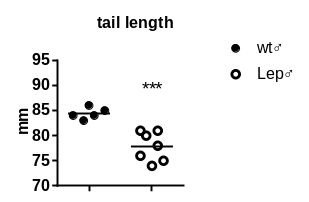 产品细节图片33