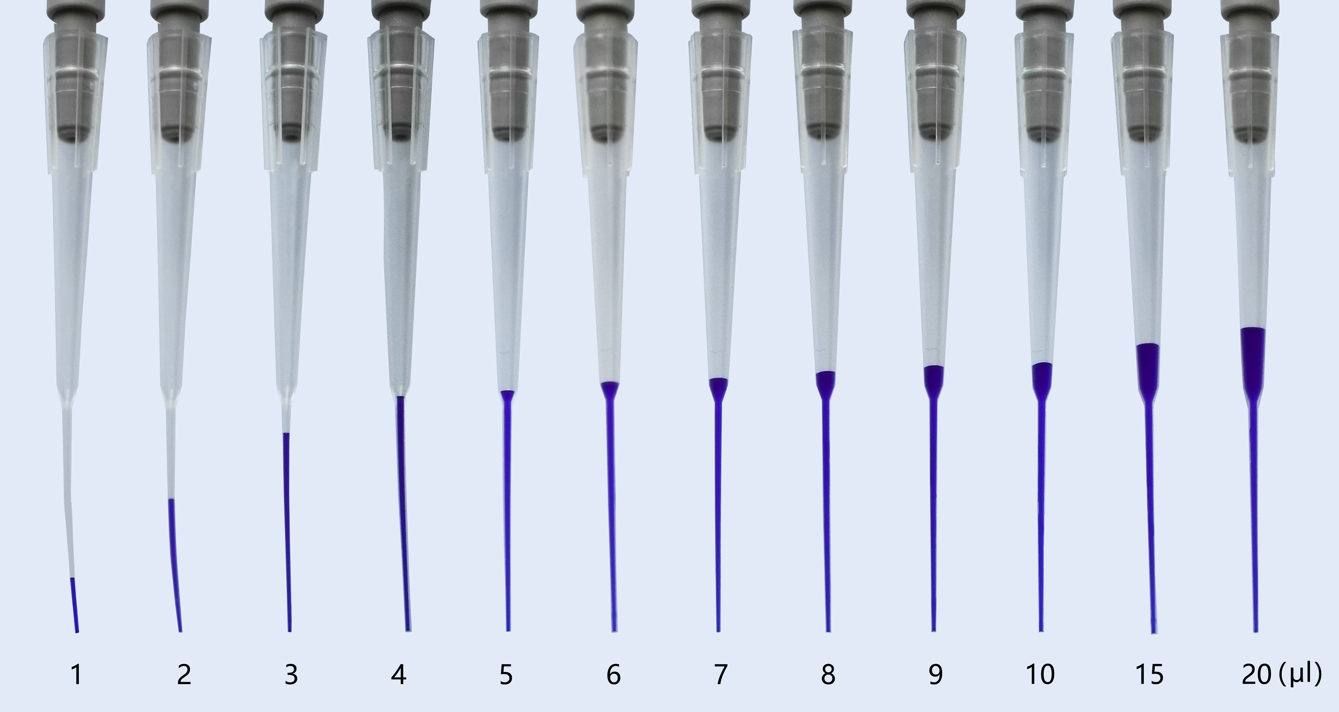 BeyoGold™凝胶电泳上样吸头(1-200μl, 袋装)