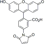FLUORESCEIN-5-MALEIMIDE 91028