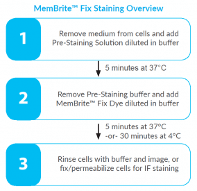MemBrite™ 固定细胞表面染色试剂盒 - MemBri