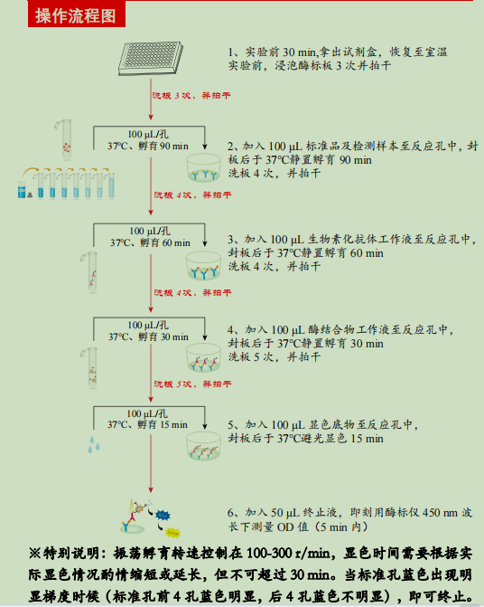 产品细节图片2