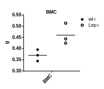 产品细节图片28