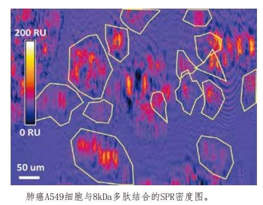 细胞原位分子互作动态分析系统