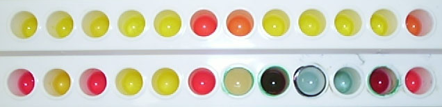 MID芽孢杆菌鉴定系统(MID Bacillus) AOAC