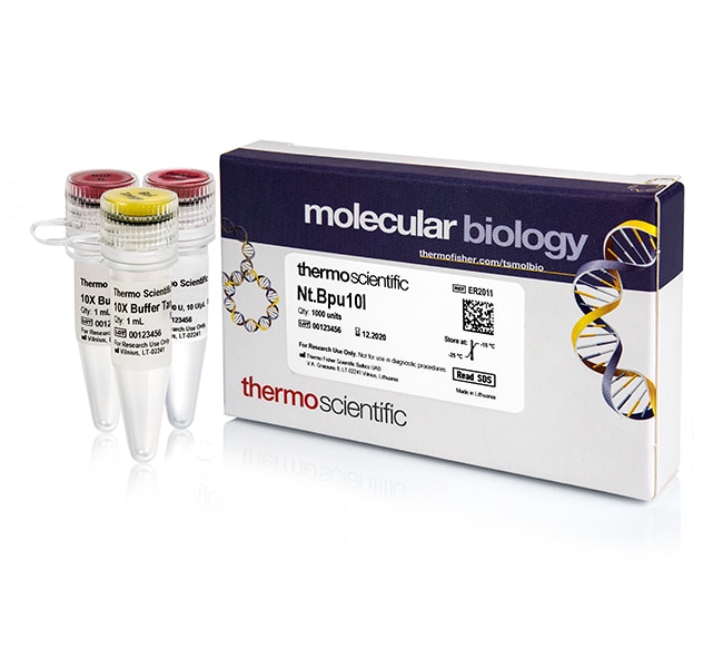 Nt.Bpu10I (5 U/&micro;L)