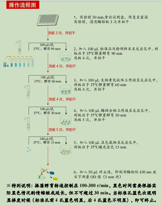 Mouse IL-10 ELISA KIT