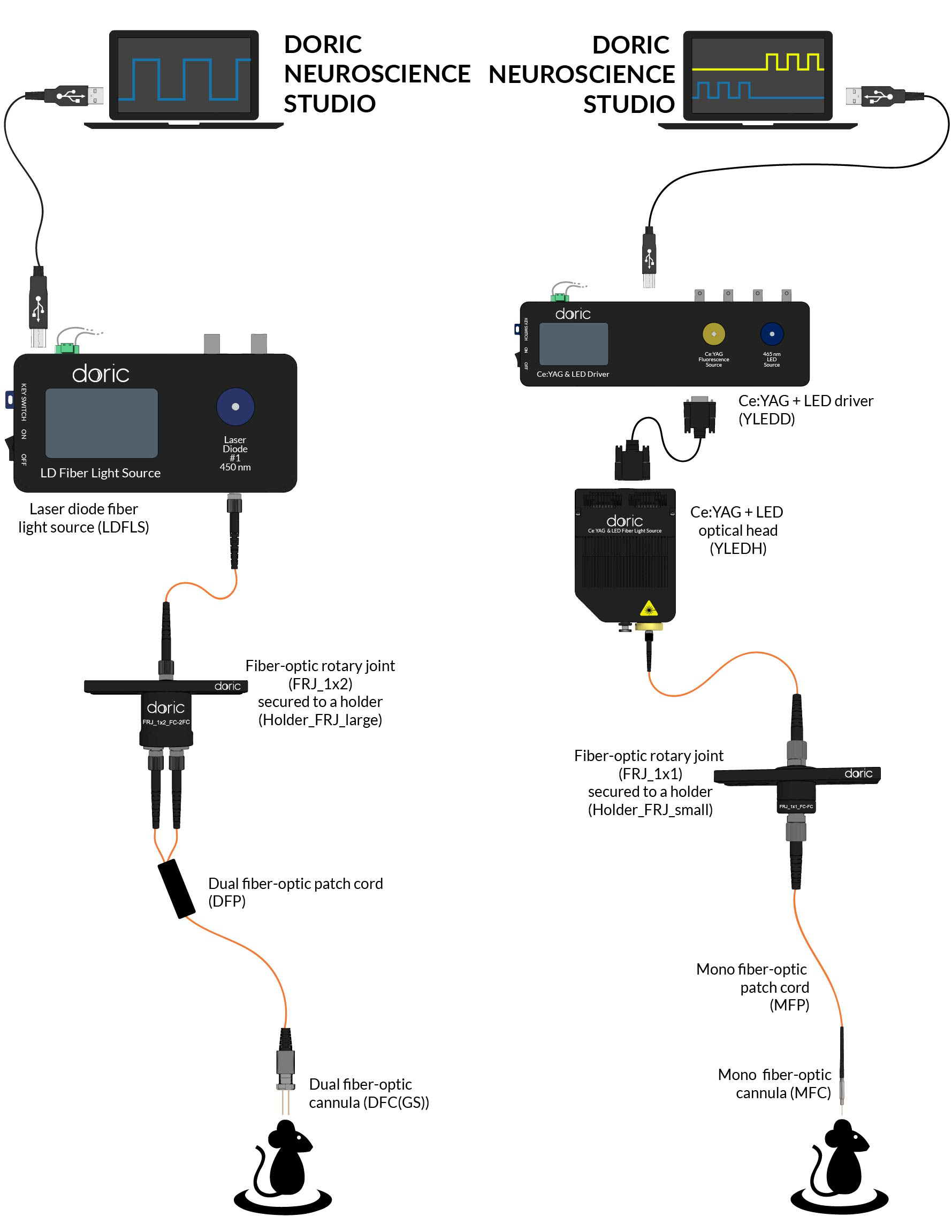 HYB华阳脑科学研究器材-光遗传