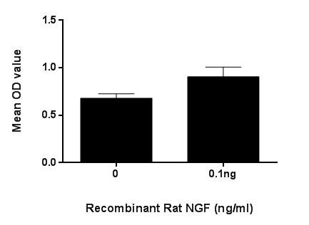 神经生长因子(NGF)活性蛋白