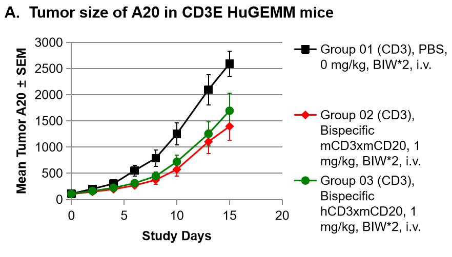 BALB/c-Tg(hCD3E） 人源化小鼠 转基因模型