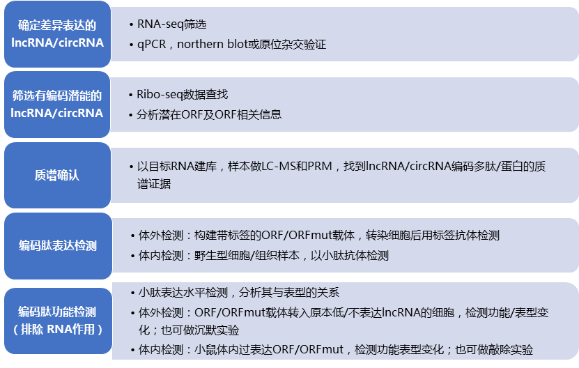 lncRNA技术流程.png