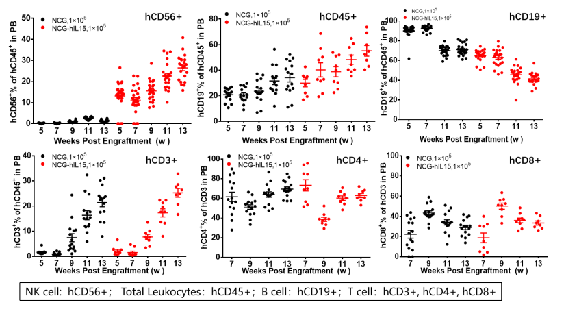 NCG-hIL15 免疫缺陷小鼠模型 人源化模型 ki基因敲