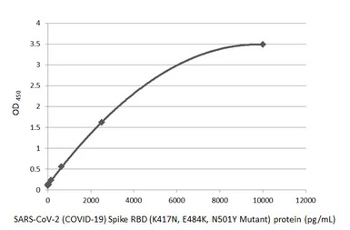 SARS-CoV-2 (COVID-19) Spike RB